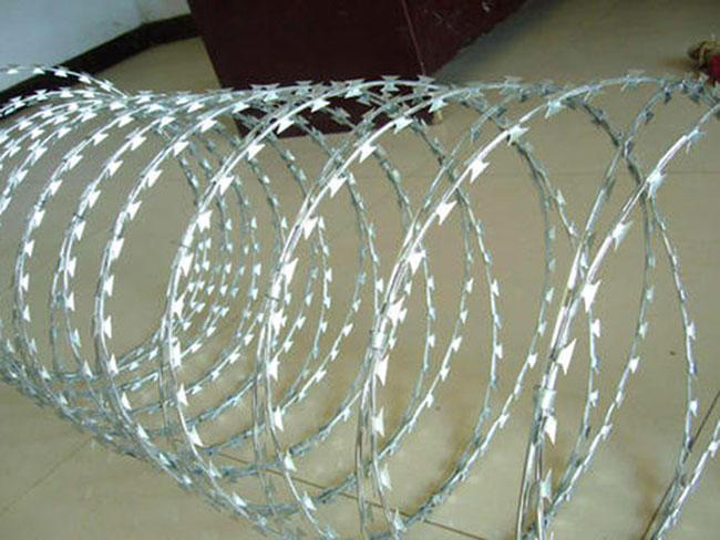 20200326154247_1.jpg