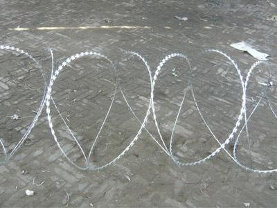 刺丝滚笼 (2).jpg